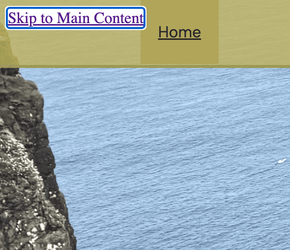 A visible blue keyboard-focus ring around the 'Skip to Main Content' link on the Ireland with Mia site